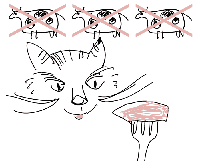 kot zjadajavy woły